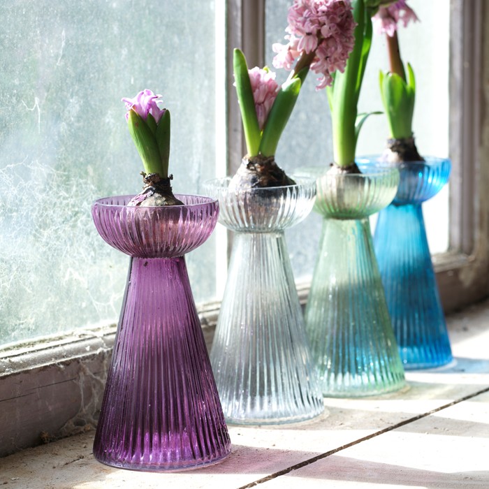 Hyacinth-Bulb-Vases-A_22323-2-