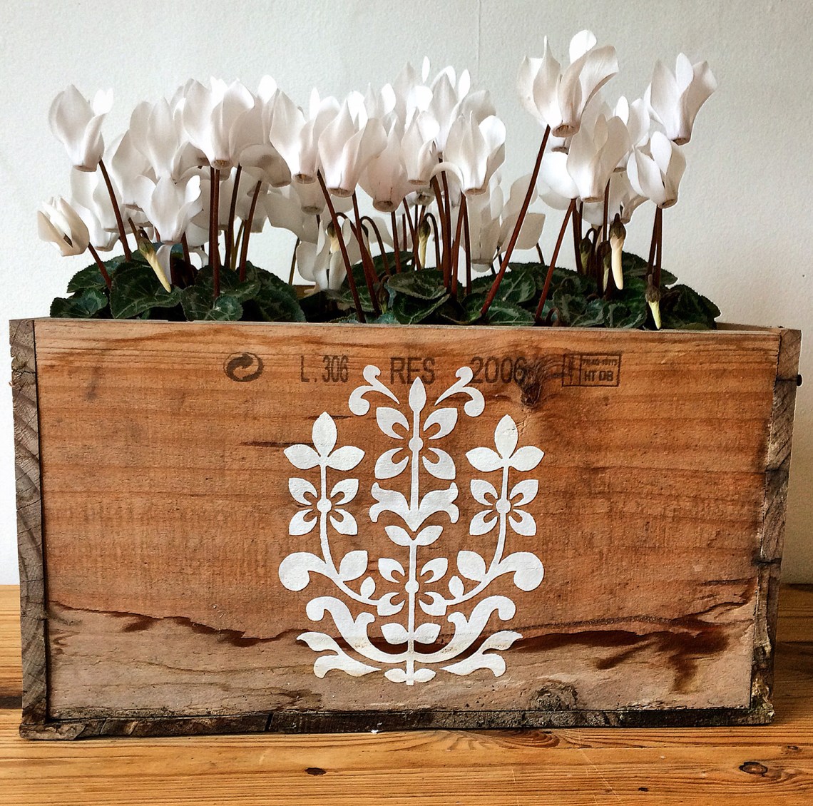 jaipur-stencil-windowbox